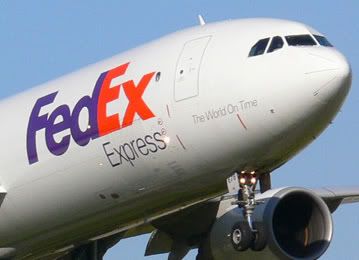 FEDEX baby Pictures, Images and Photos