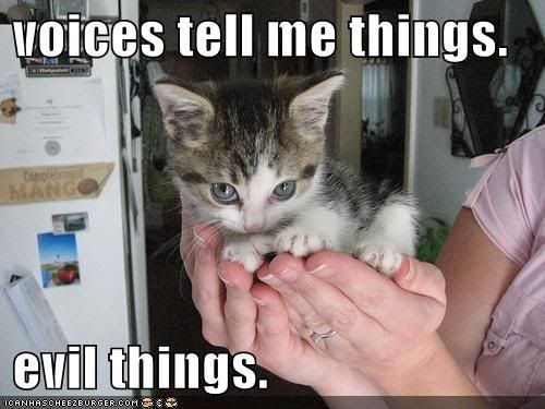 funny-pictures-evil-cute-kitten-han.jpg