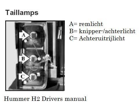 hummerlicht.jpg
