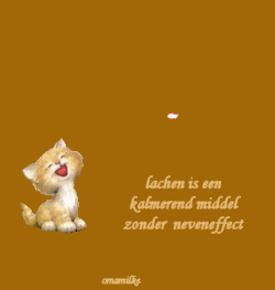 0-24vuurwerk_gif.gif picture by frieda_52
