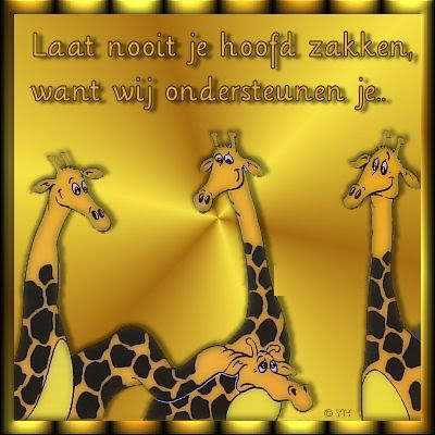 0-85ondersteunen.jpg picture by frieda_52