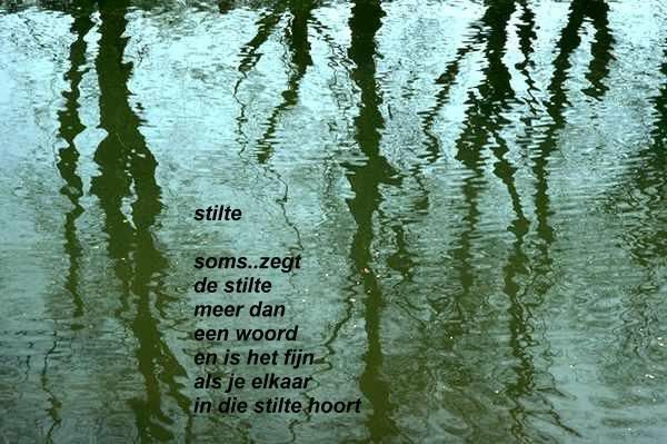 0428.jpg picture by frieda_52