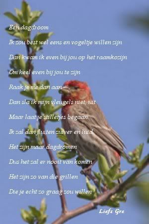 0510032D0072020202B2B2B2B2B.jpg picture by frieda_52