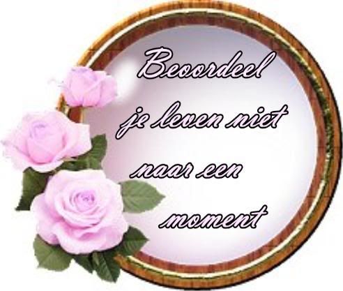 0815tagrose1.jpg picture by frieda_52