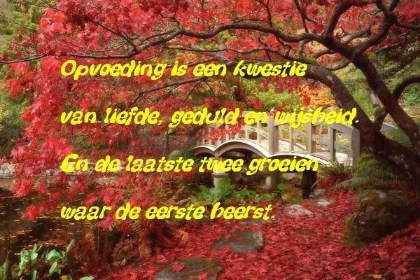 1191268579-160.jpg picture by frieda_52