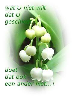 1191269115-210.jpg picture by frieda_52