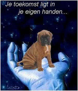 139_8bad2da62b791554175bb2c1206c6b9.jpg picture by frieda_52