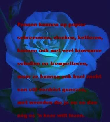 1blauerose.jpg picture by frieda_52
