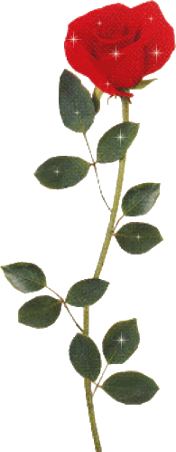 201041k18hkdmodr-1.gif picture by frieda_52