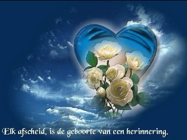 362.jpg picture by frieda_52