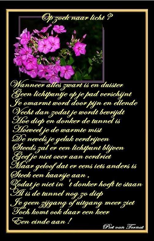 43kaderopzoeknaarlichtpm3.jpg picture by frieda_52