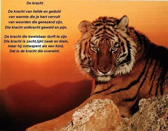 996257.jpg picture by frieda_52