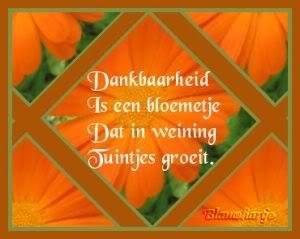 Dankbaarheid_is_een_bloemtje.jpg picture by frieda_52