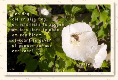 Dusty-dag-450x307.jpg picture by frieda_52