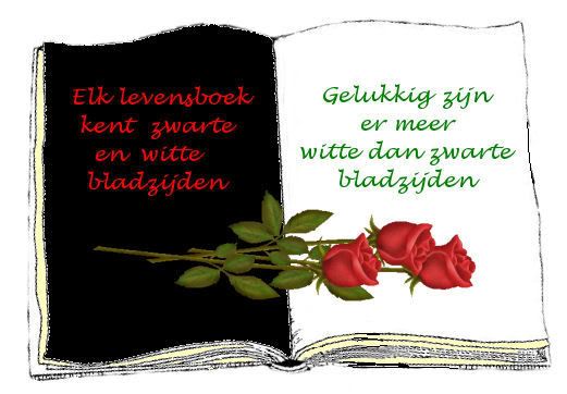 Image17-1.jpg picture by frieda_52