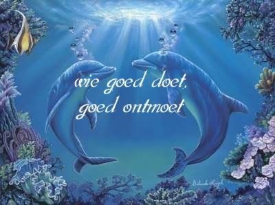SP_goed.jpg picture by frieda_52
