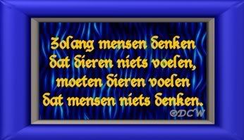 Spreukgty.jpg picture by frieda_52