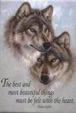 Wolveskik.jpg picture by frieda_52