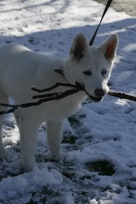 _MG_1635.jpg