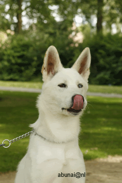 _MG_5173.gif picture by frieda_52