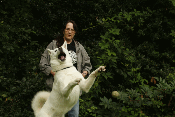 _MG_7217-1.gif picture by frieda_52