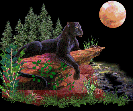 colourfulpanther.gif picture by frieda_52