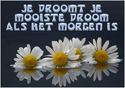dromen3ev.jpg picture by frieda_52