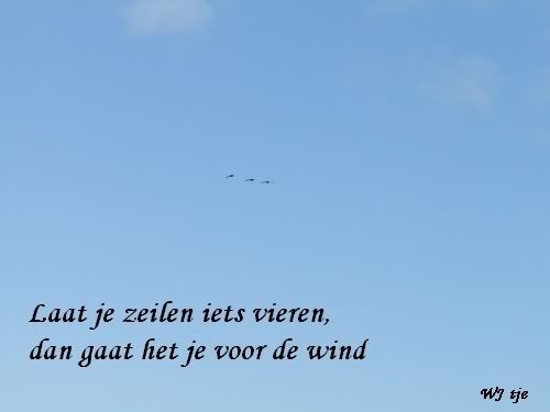 dscf5055_spreuk.jpg picture by frieda_52
