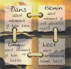 dyn006original330318pjpxl6.jpg picture by frieda_52