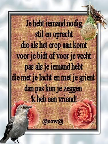 gedichdyn1.jpg picture by frieda_52