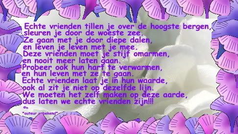 gedicht29.jpg picture by frieda_52