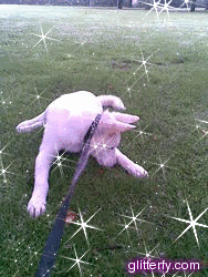 glitterfy160540499D30.gif picture by frieda_52
