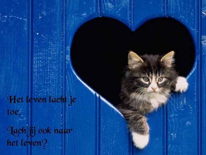 het20leven.jpg picture by frieda_52