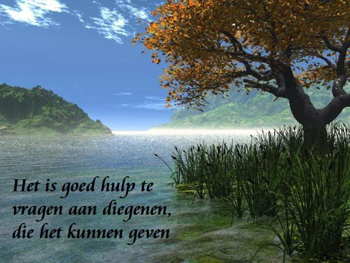 hulp20vragen-2.jpg picture by frieda_52