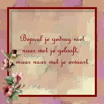 image143.jpg picture by frieda_52