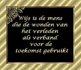 image9.jpg picture by frieda_52