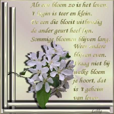 img-1145658140.jpg picture by frieda_52