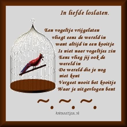 inliefdeloslaten.jpg picture by frieda_52