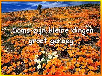 kleinedingen.jpg picture by frieda_52