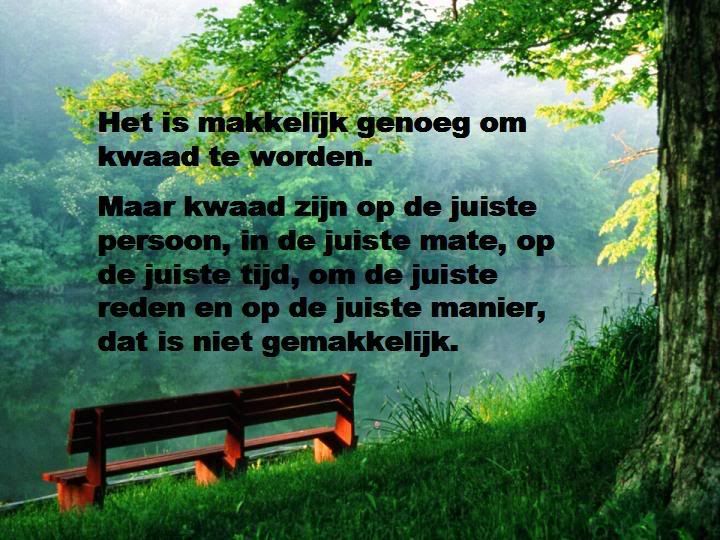 kwaad20worden.jpg picture by frieda_52
