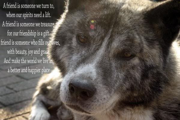 l_48a7e74f525b67f2f282186ae0e13449.jpg picture by frieda_52