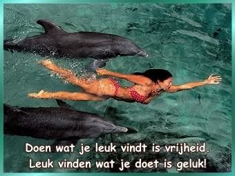 leuk.jpg picture by frieda_52