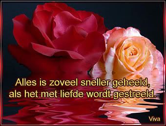 metliefde2.jpg picture by frieda_52