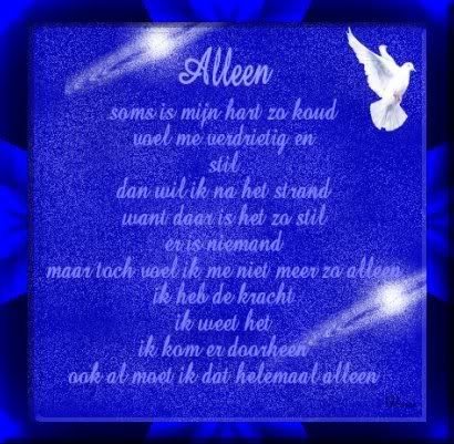 nieuw20gedicht2011.jpg picture by frieda_52