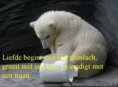 ns_101_dyn002_original_528_389_pjpe.jpg picture by frieda_52