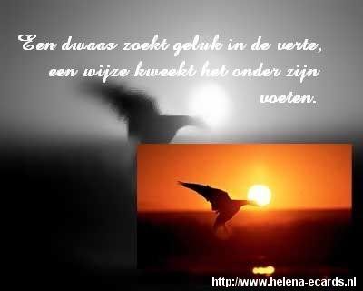 ns_82_ns_3_spreuken021.jpg picture by frieda_52