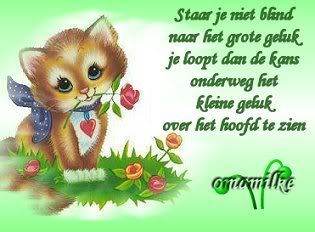 of3.jpg picture by frieda_52