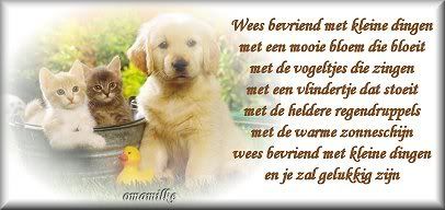 of4.jpg picture by frieda_52