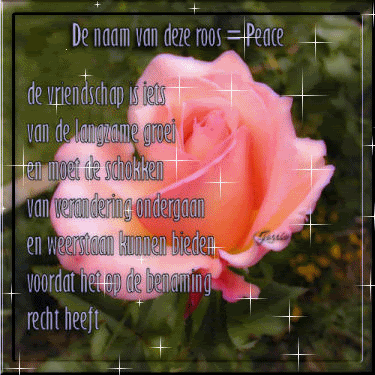 peaceroze.gif picture by frieda_52