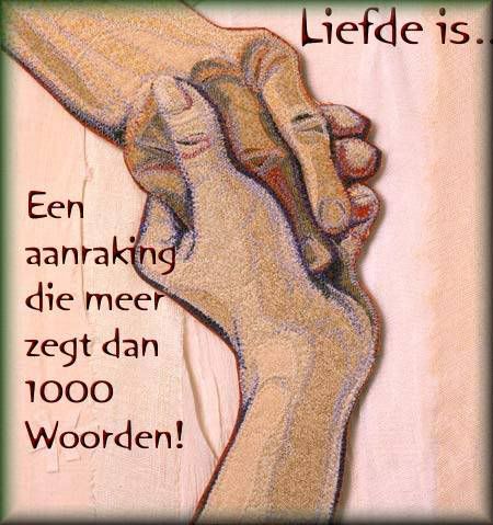 pic_2005-10-08_112619.jpg picture by frieda_52